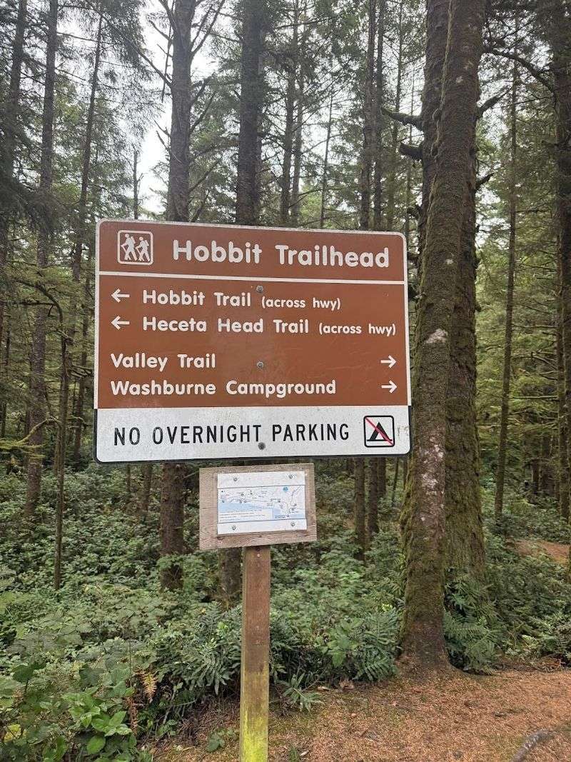The Trailhead: Where the Adventure Begins