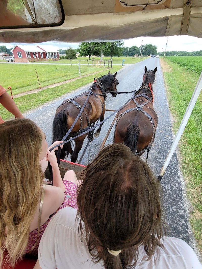 A First Ride That Makes Amish Country Feel More Real