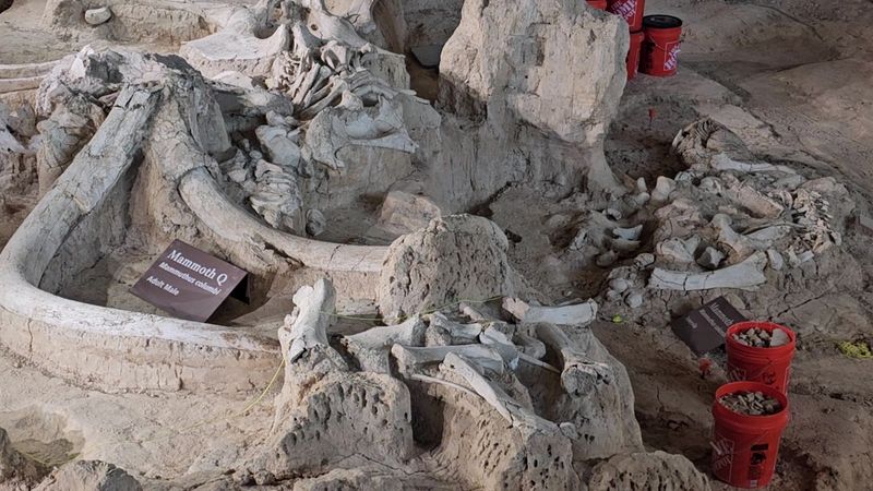 The Remarkable Discovery That Started It All