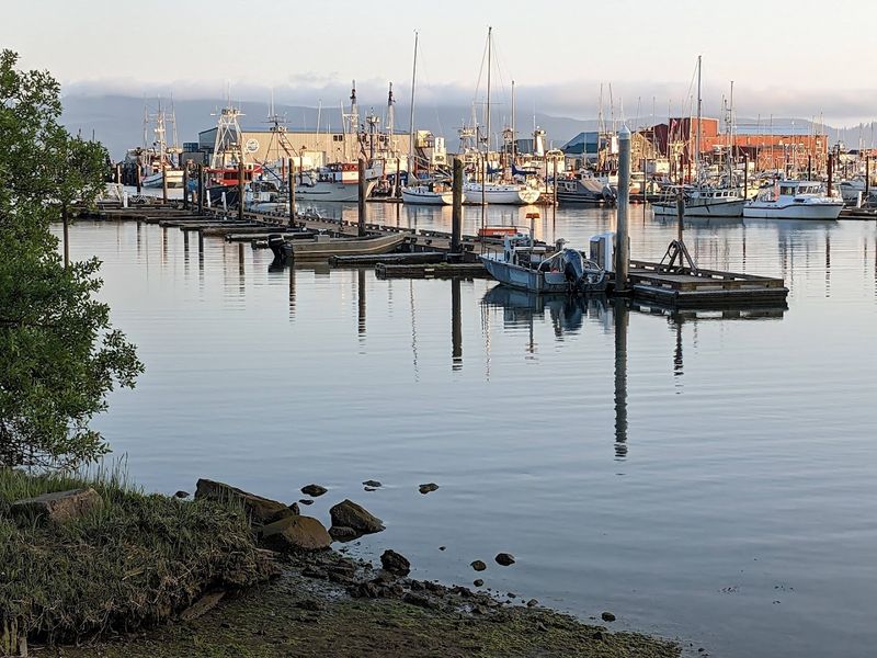 A Working Harbor That Still Feels Alive