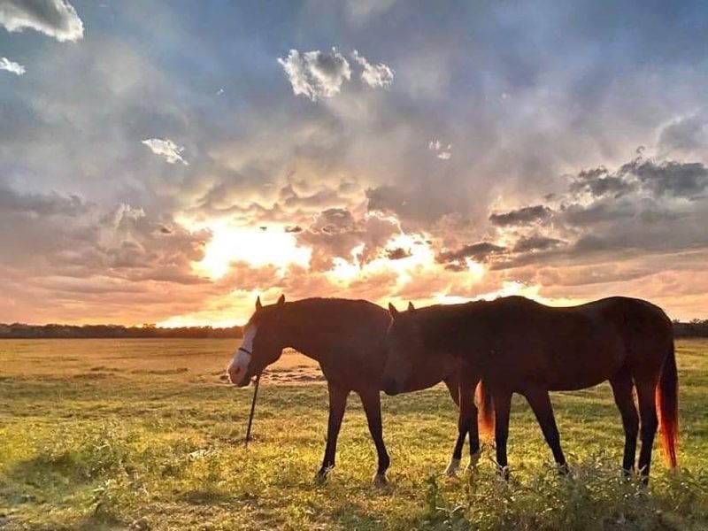 The Wide Open Texas Sky: A Sight Worth the Drive Alone