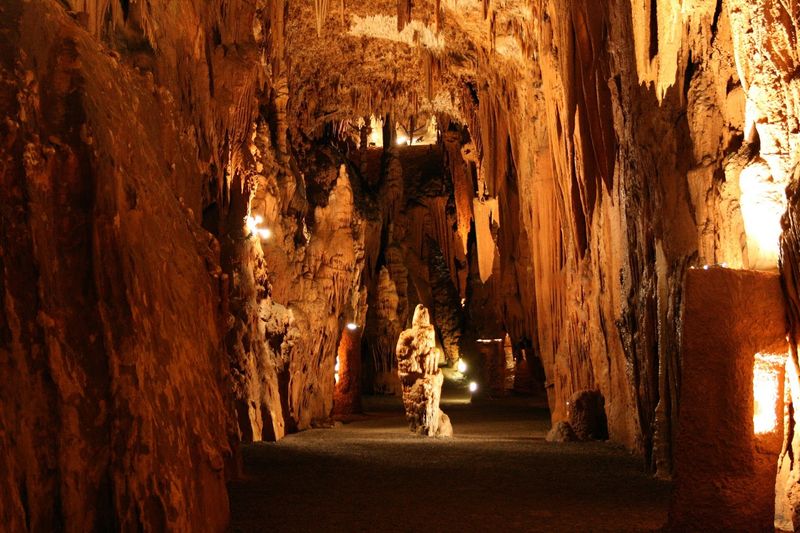 A Discovery That Started It All: The Cave's Fascinating Origin Story