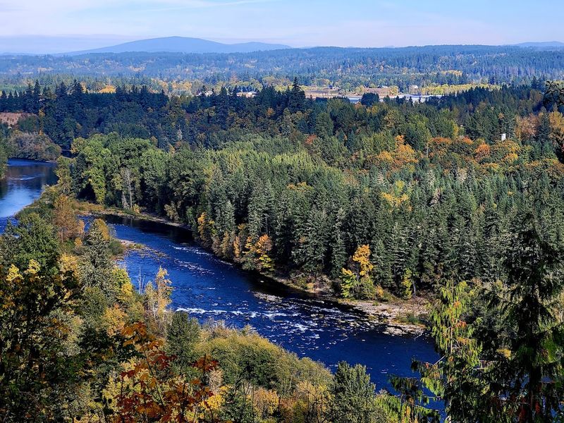 A Park That Feels Bigger Than It Has Any Right To Be