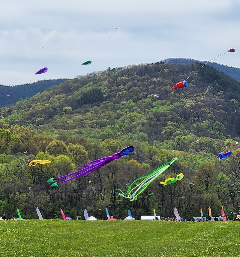 The Grand Opening of the Sky: What the Festival Is All About