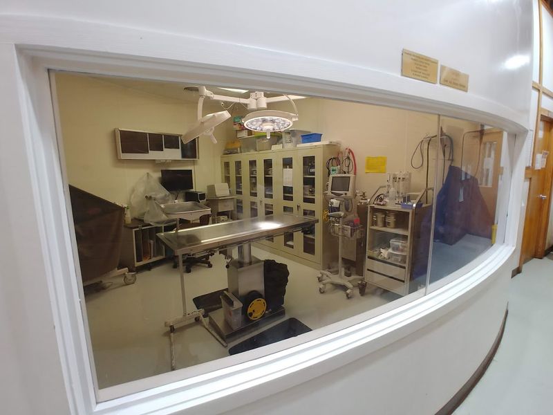 A Teaching Hospital Unlike Any Other