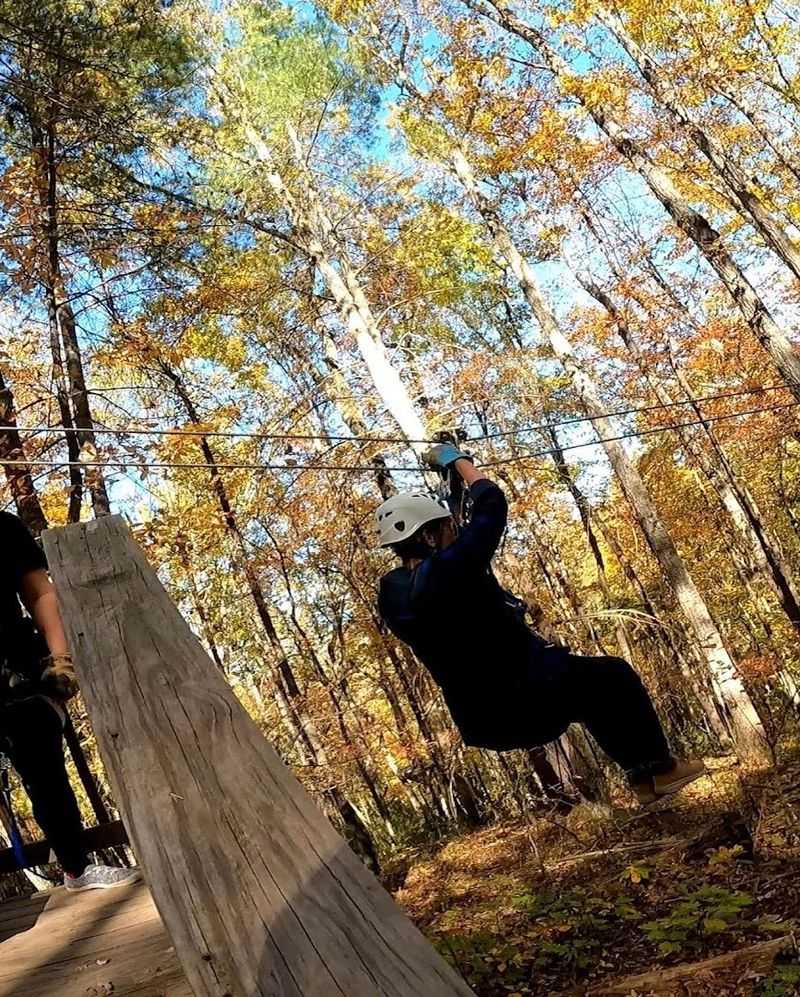 The Mama Bear Zipline: Seven Lines of Pure Mountain Magic