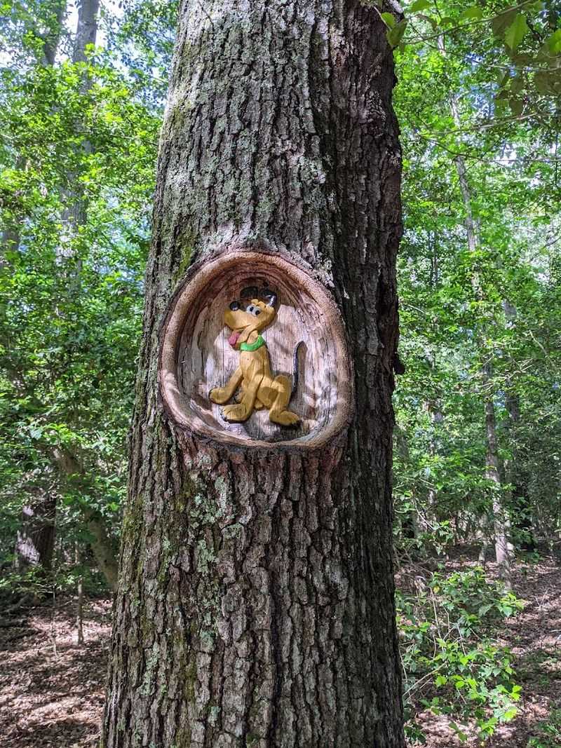 The Artist Behind the Magic: Tom Rhodes and His Vision