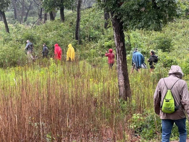 Close to Chicago but Far From the Crowds