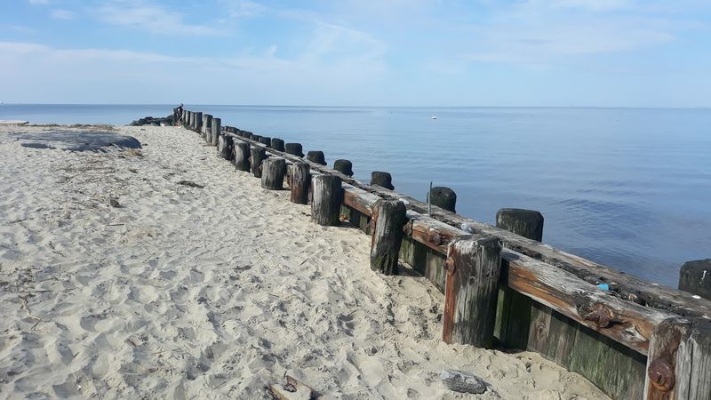 Birdwatching Where the Eagles Actually Show Up