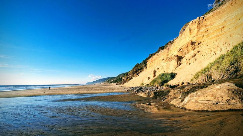 The Heceta Head Lighthouse Connection: An Extended Adventure