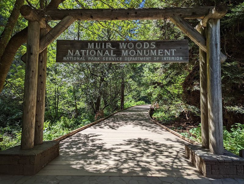 Muir Woods National Monument 