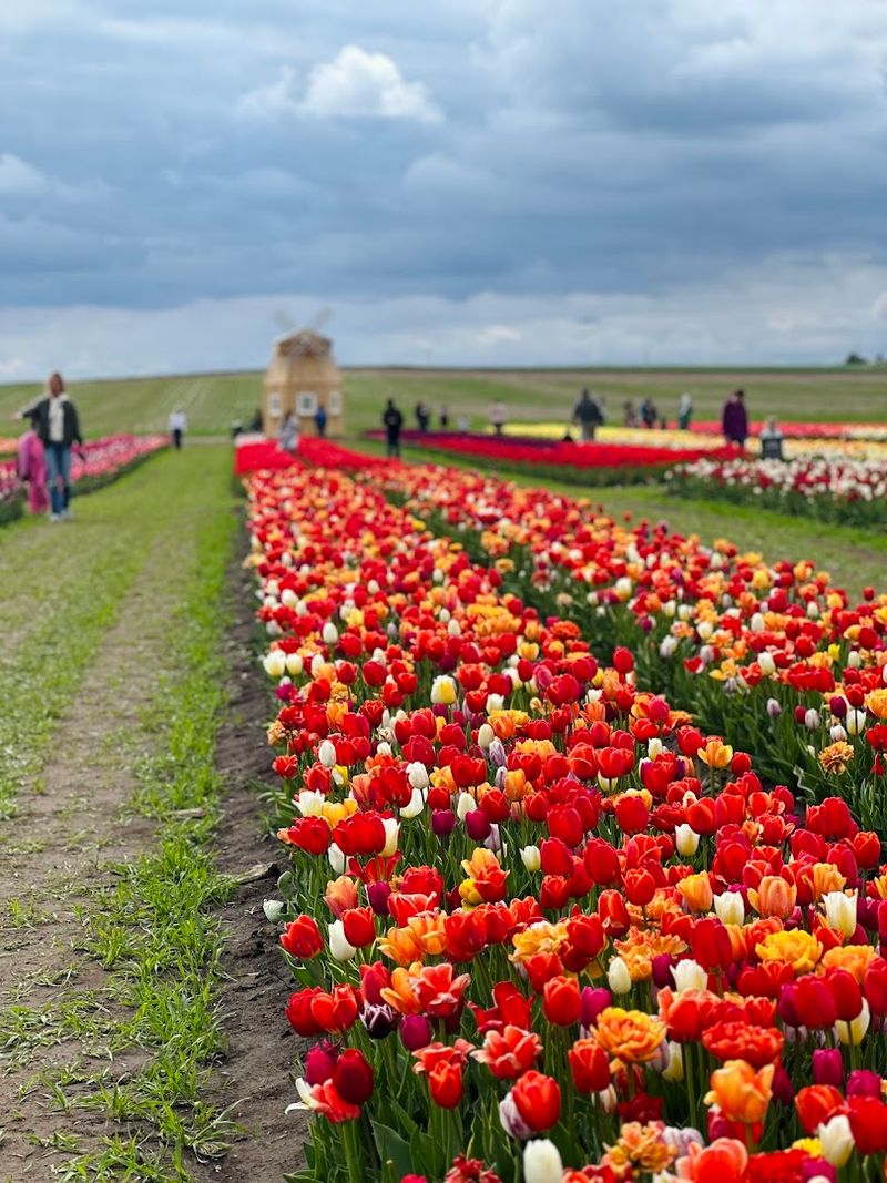 Quick Farm Add-Ons That Make It A Full Afternoon