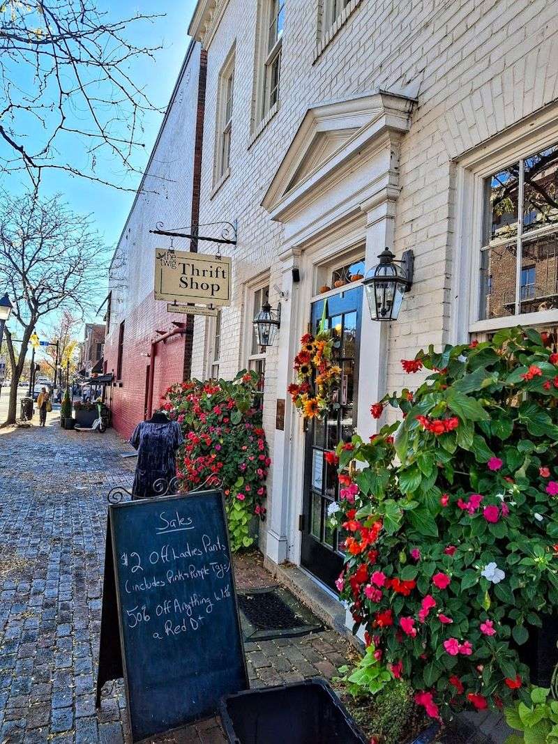 What Makes Alexandria The Perfect Setting