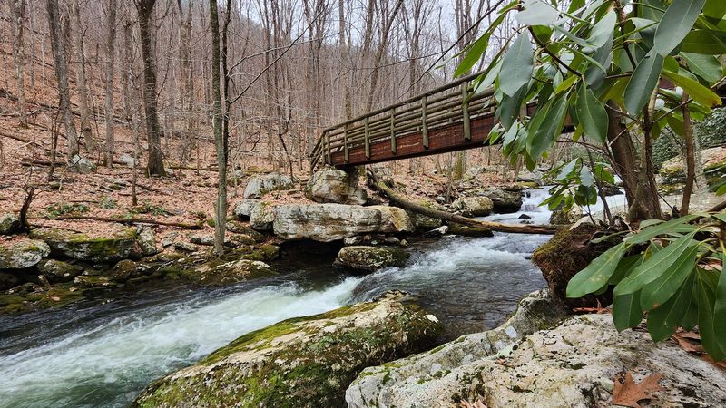 Family Friendly Fun on the Mountain