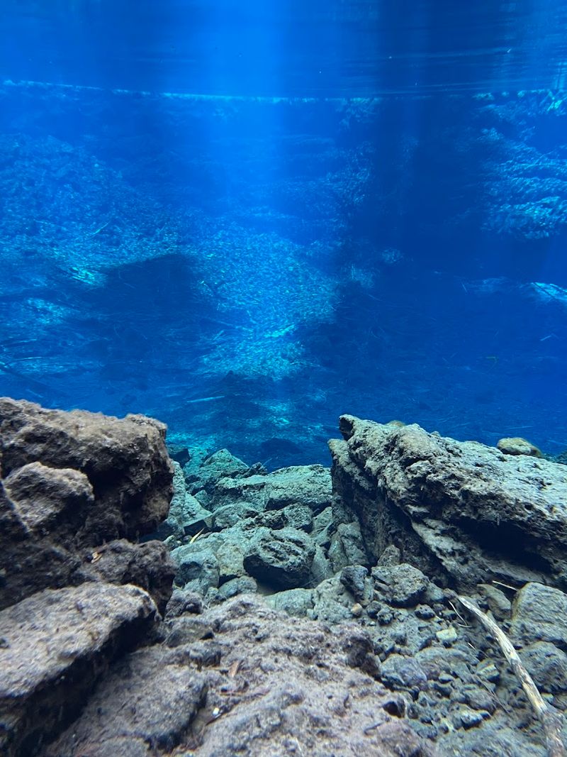 The Science Behind That Unforgettable Color