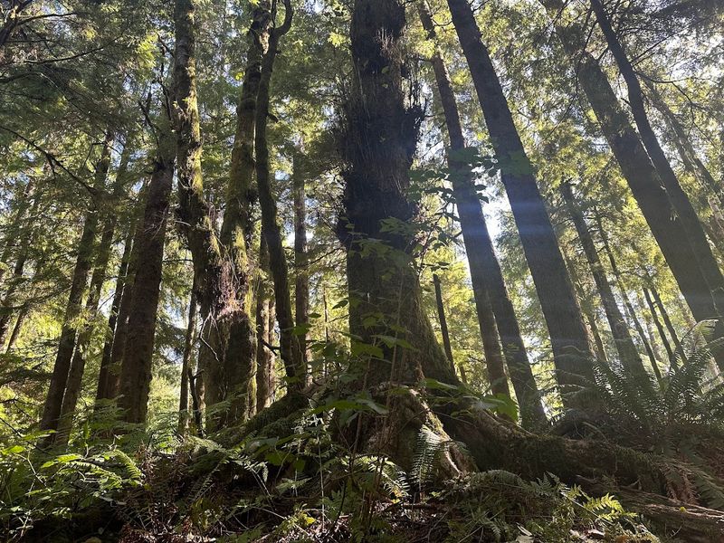 Wildlife and Nature Along the Way