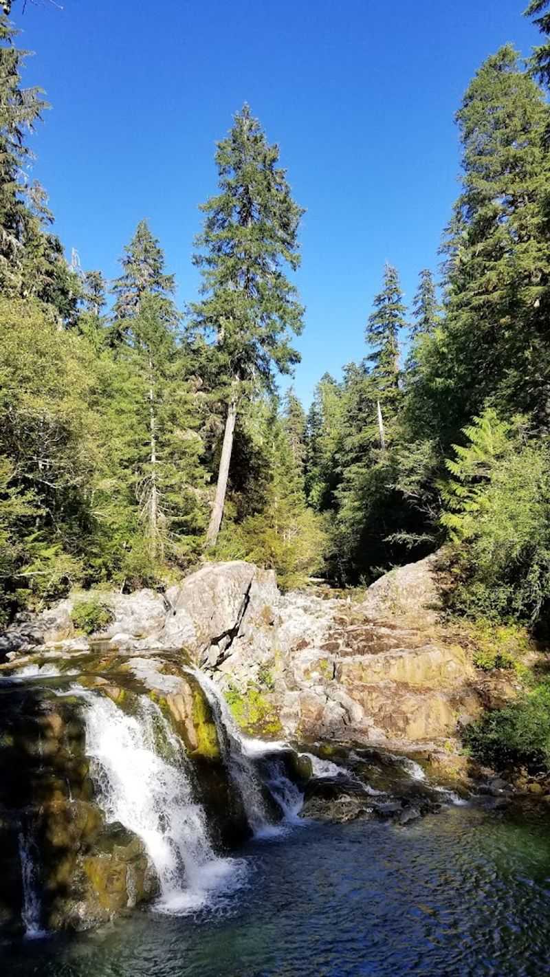 Wildlife and Nature Along the Way