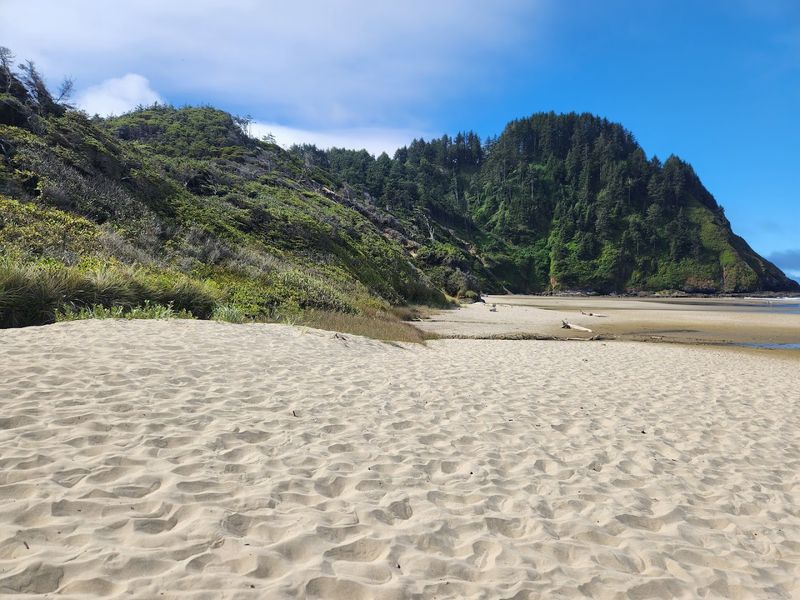 Hobbit Beach Itself: The Reward at the End of the Trees
