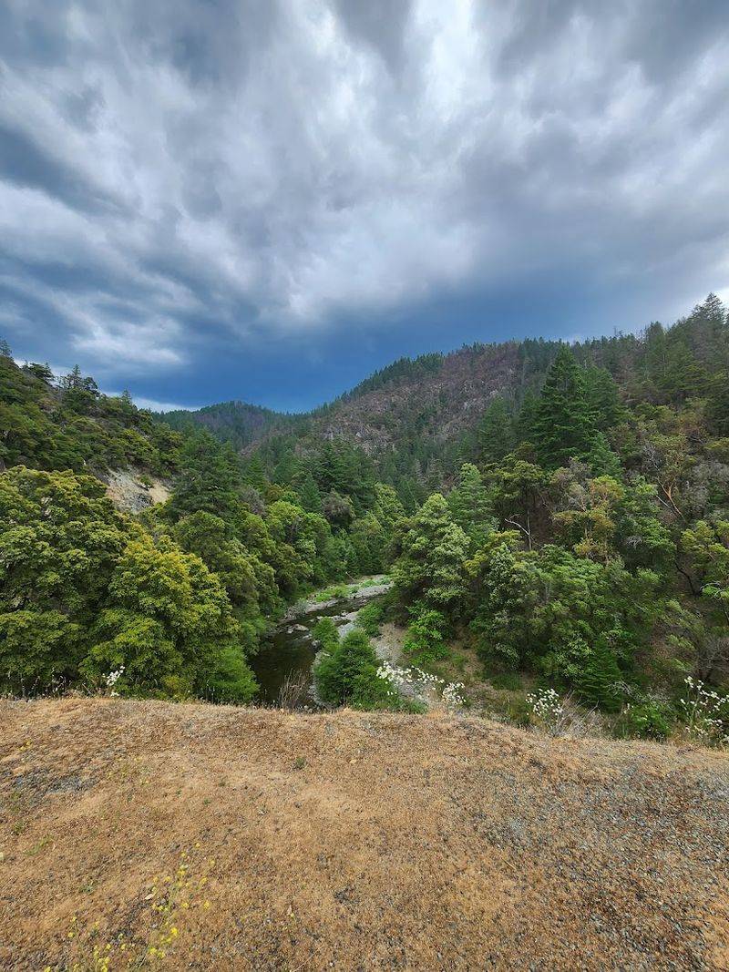 Wildlife Encounters Along the Canyon Edge