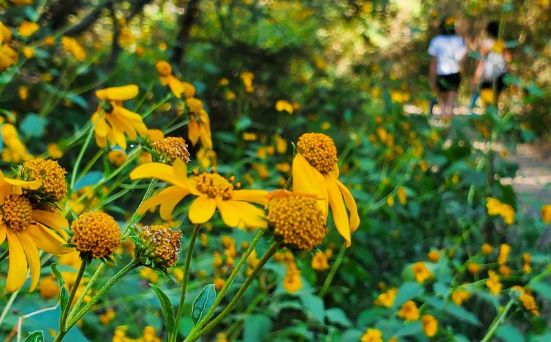 What to Pack for the Hike