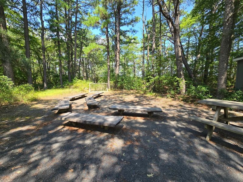 Picnic Spots and Open Spaces to Unwind