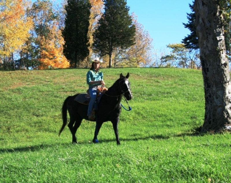 A Working Ranch Spread Across 78 Spectacular Acres