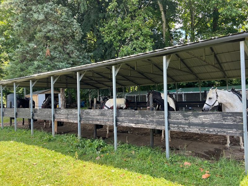 The Shenandoah Valley Scenery Is Absolutely Unreal