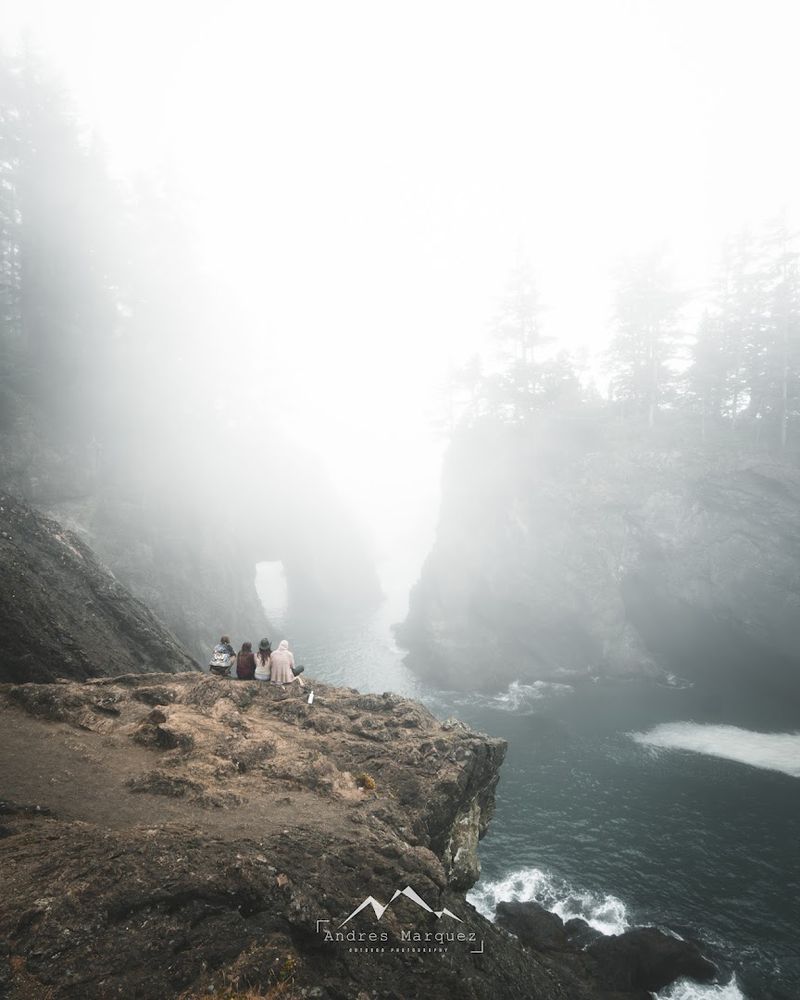The Fog and Coastal Atmosphere