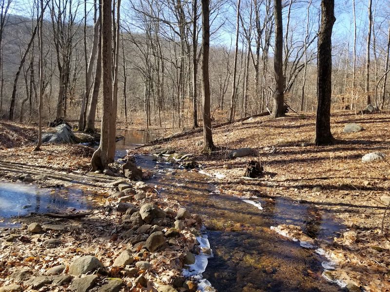 Visiting Wildcat Ridge: Practical Tips for the Perfect Day Trip