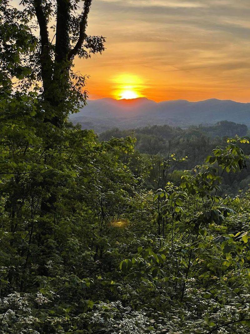 The Terrain Variety: From Beginner Green to Black Diamond Tough