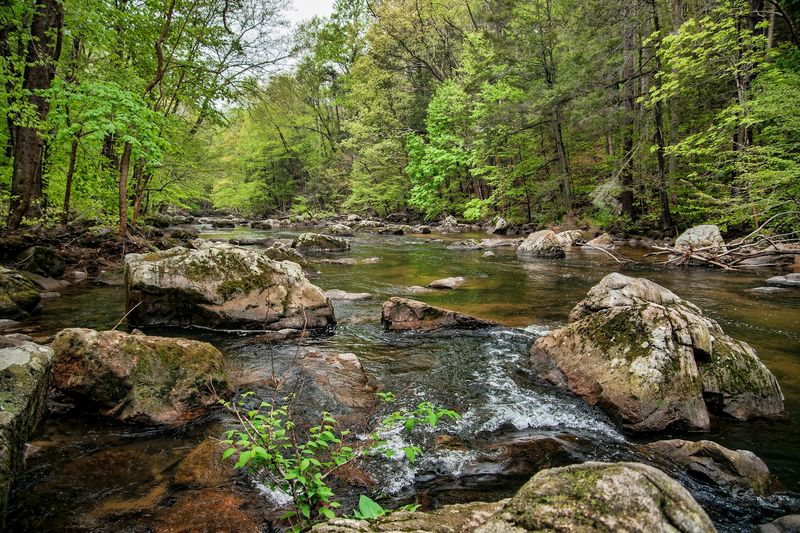 Planning Your Visit to the Columbia Trail
