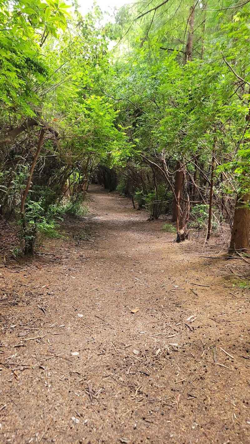 Wildlife That Actually Shows Up