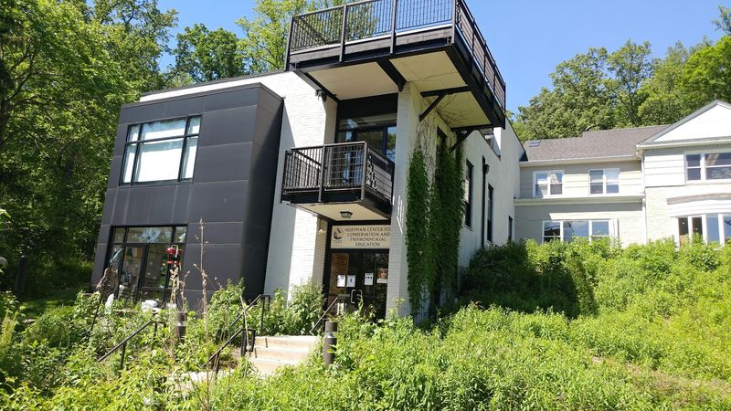 The Hoffman Center: Where Education Meets Genuine Enthusiasm