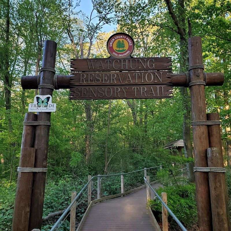 The Sensory Trail for All Ages
