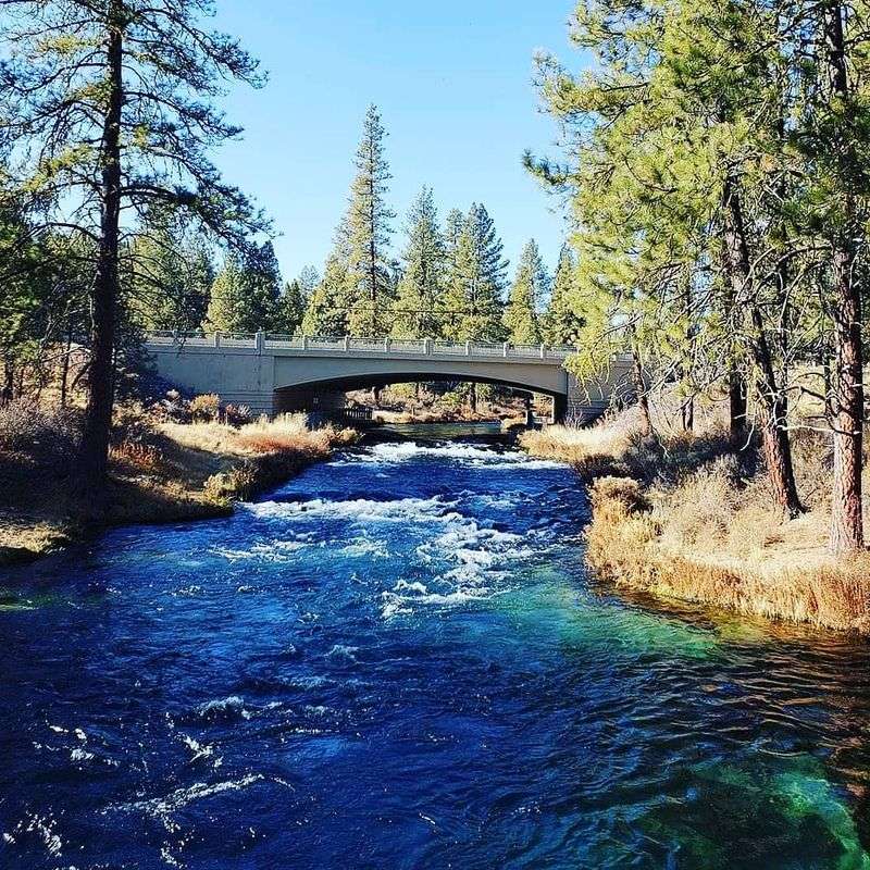 Healthcare Access That Does Not Feel Out of Reach