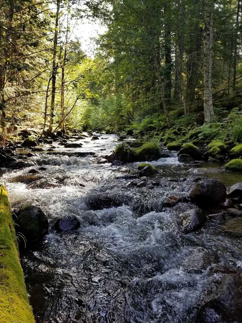 Lost Creek Campground, Sandy River, Oregon