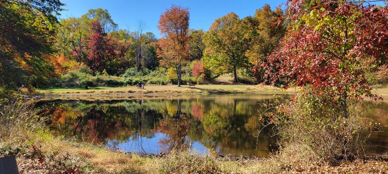 Sourland Mountain Preserve (Ridge Trail), New Jersey
