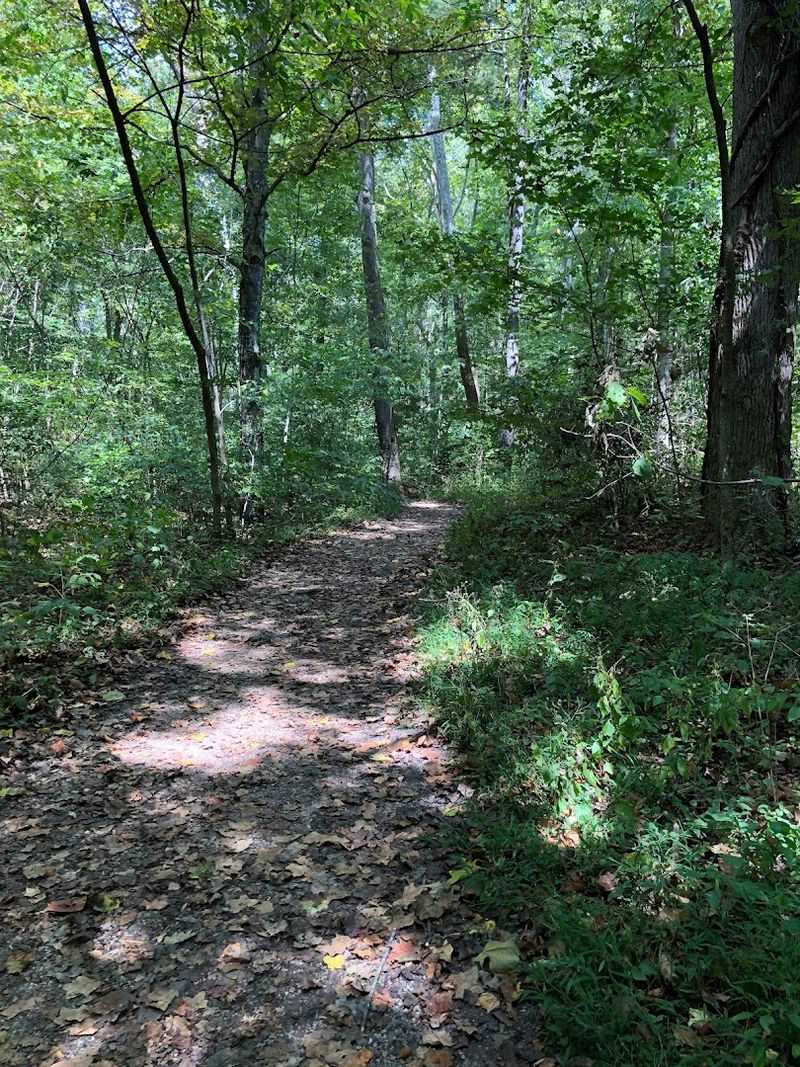 Wildlife Encounters Along the Way