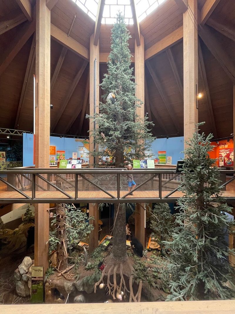 The Towering Tree That Greets You at the Door