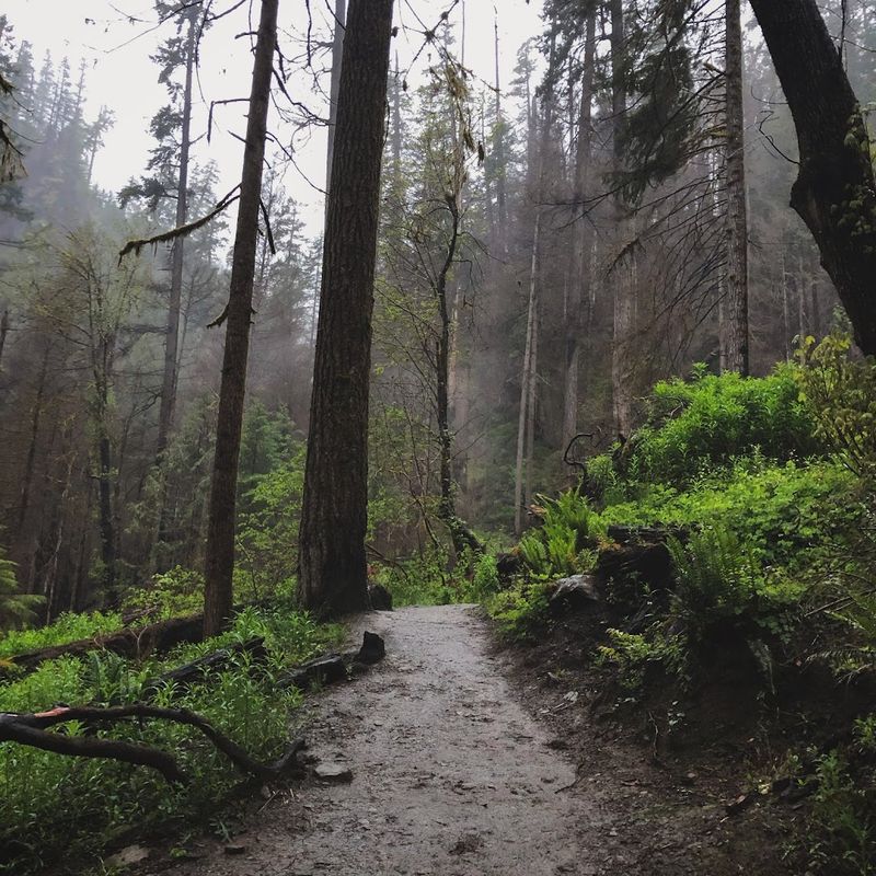 The Trail That Starts It All