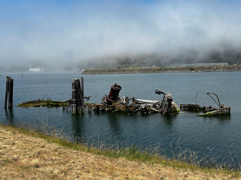Her Final Journey Back to Gold Beach