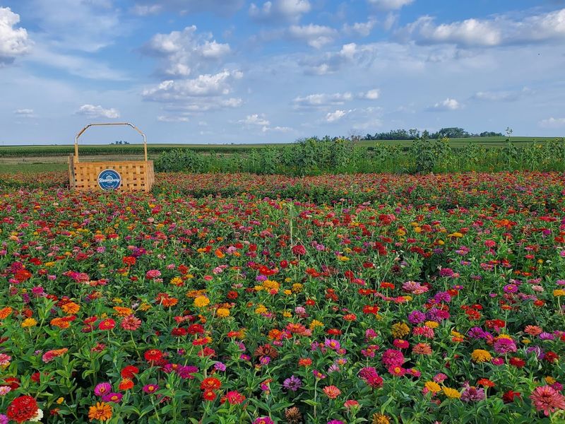 Best Weeks To Go, Late April Into Mid May