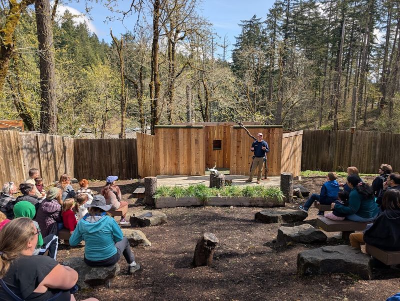 Flight Shows and Raptor Encounters Worth Timing Your Visit Around