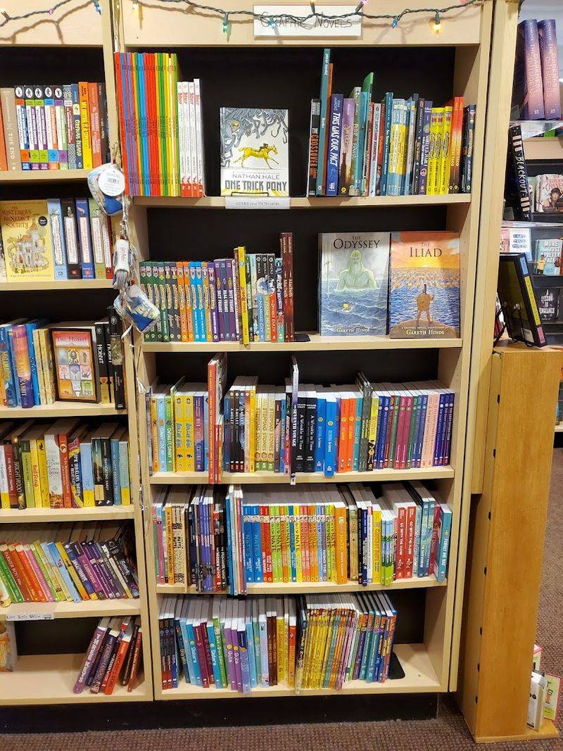 The Discovery Den: A Children's Reading Paradise