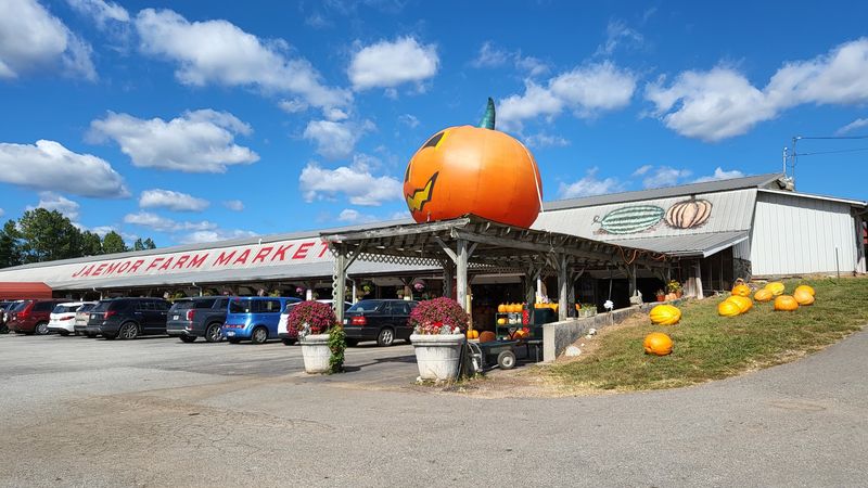 The Family Farm Story Behind The Place