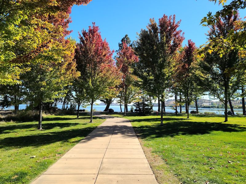 Groceries and Everyday Shopping Without the Sticker Shock