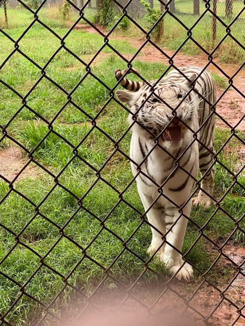 Roaming the Grounds After Dark