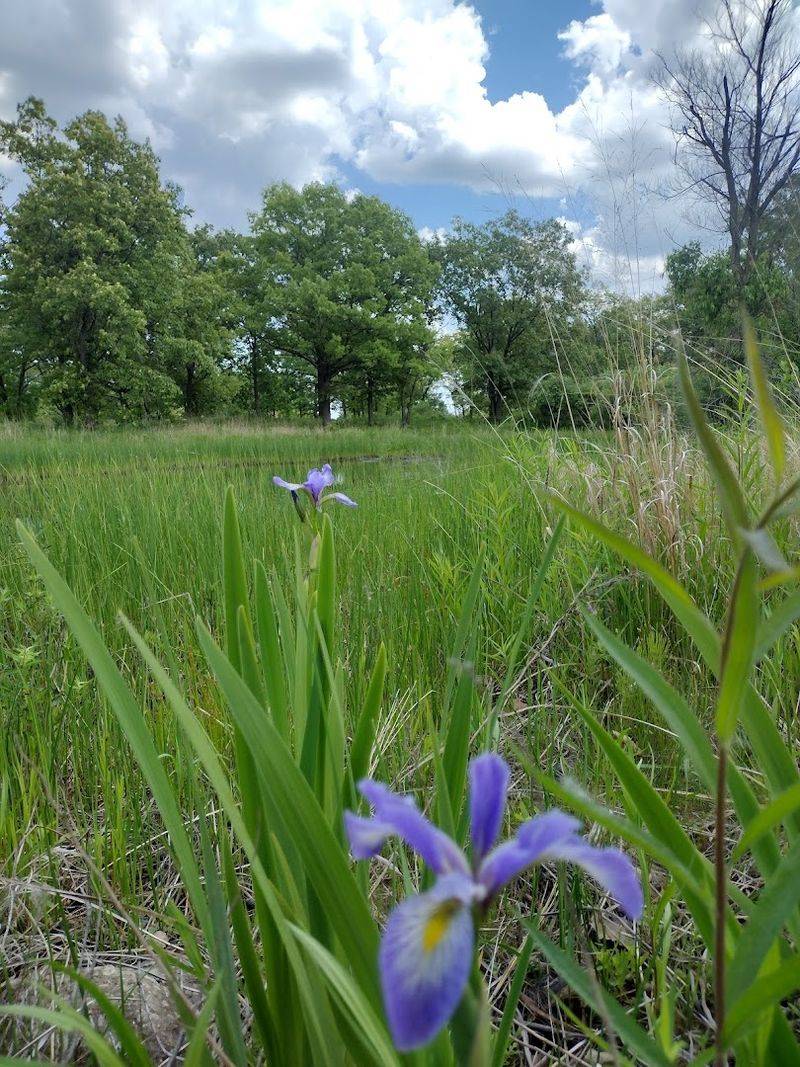 Rich Biodiversity That Surprises Every First-Time Visitor