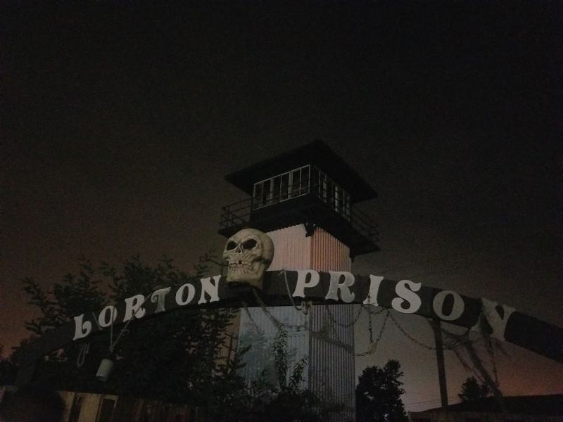 Sound Design That Turns the Forest Into Your Worst Fear