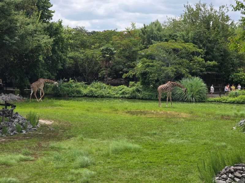 The Wild World of Animals at Virginia Zoo